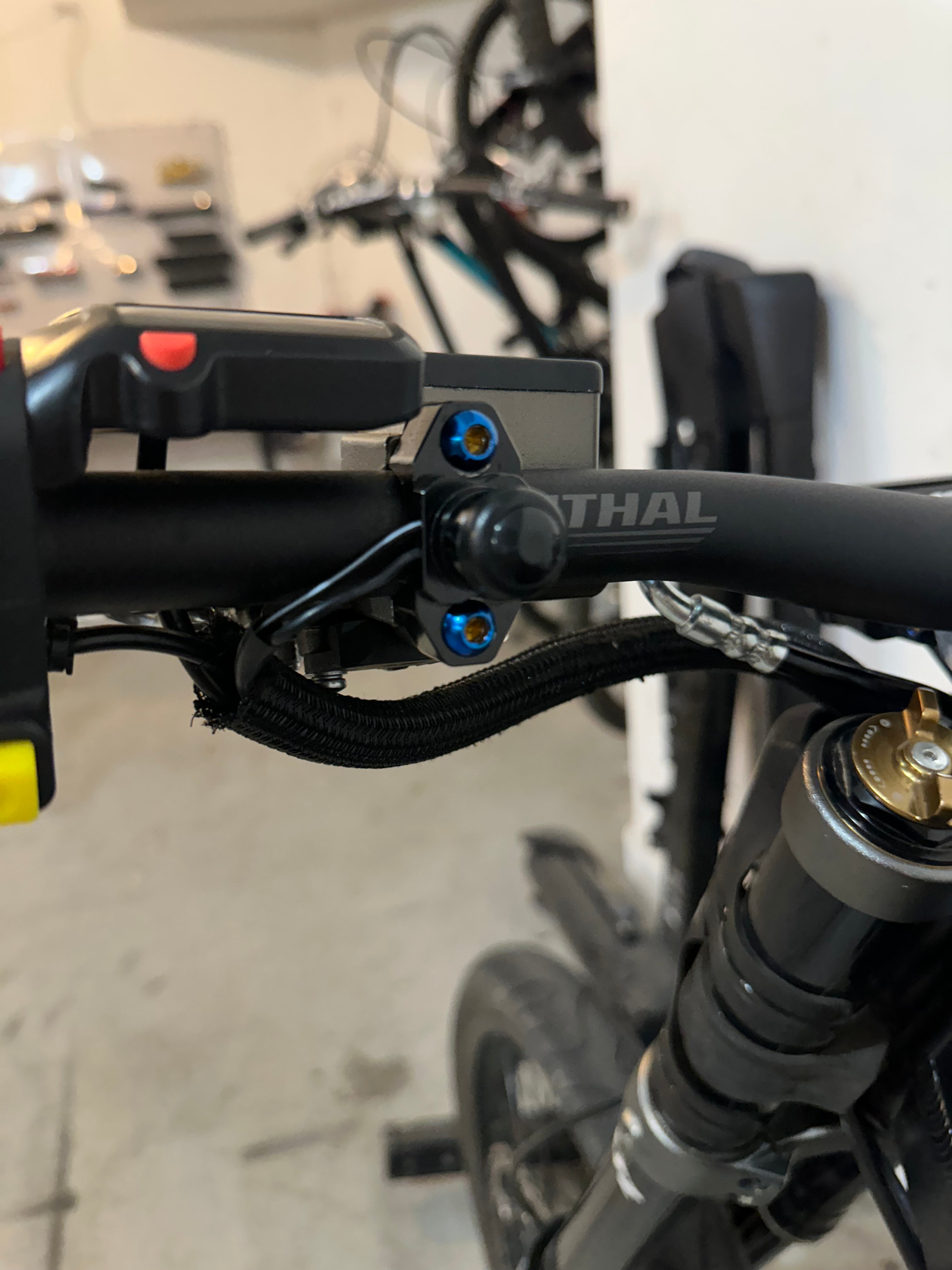Ultra Bee brake/Formula brake mount Titanium Bolts